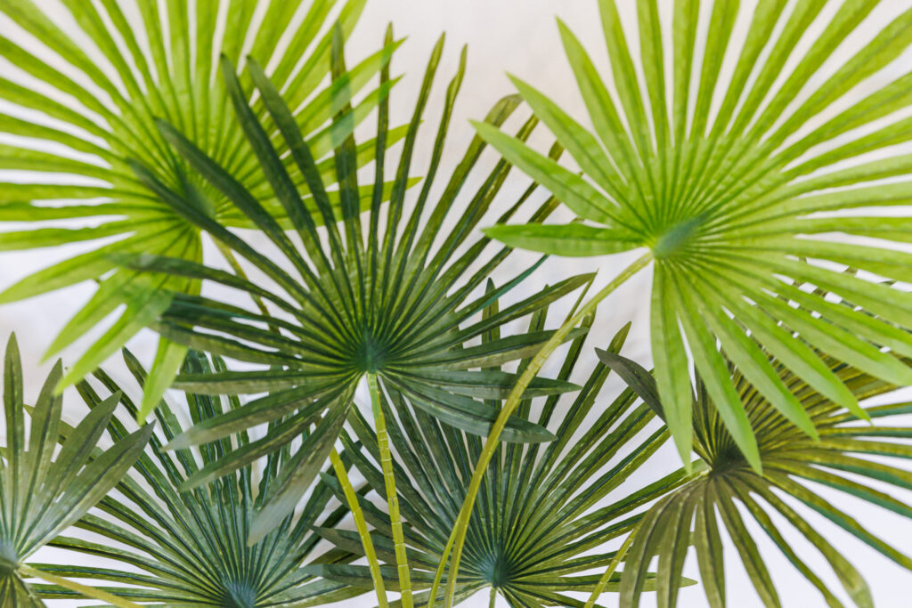 Two Bedroom Apartment Flat